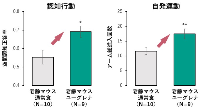 研究結果のグラフ画像2