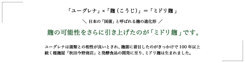 ユーグレナミドリ麹・2