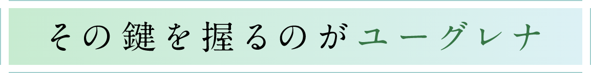 その鍵を握るのがユーグレナ