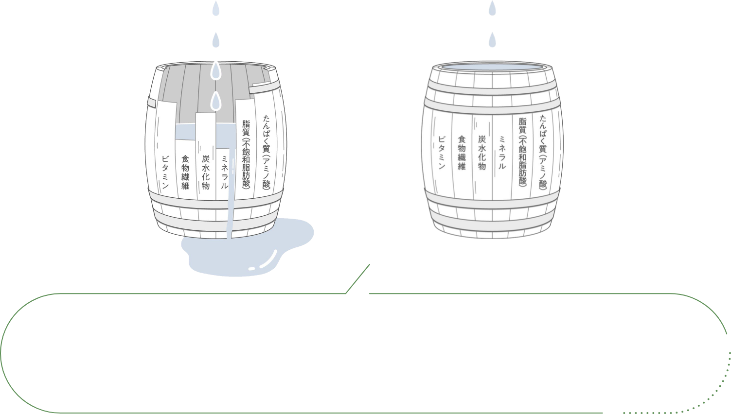 桶理論による栄養吸収の違い