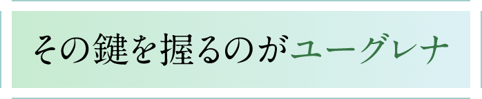 その鍵を握るのがユーグレナ