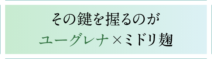 その鍵を握るのがユーグレナ