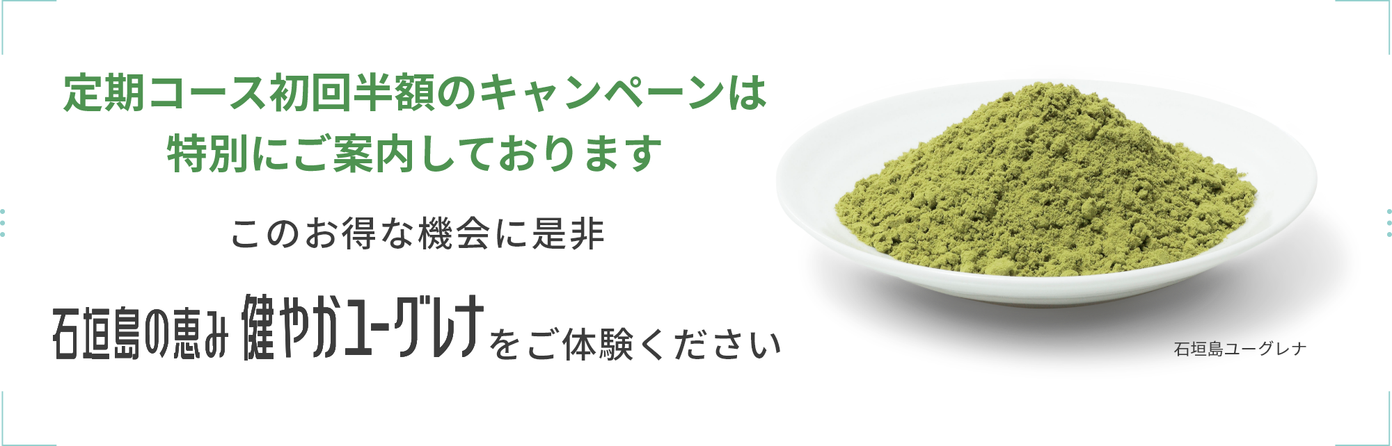 定期コース初回半額のキャンペーンは特別にご案内しております。このお得な機会に是非、石垣島の恵み健やかユーグレナをご体験ください